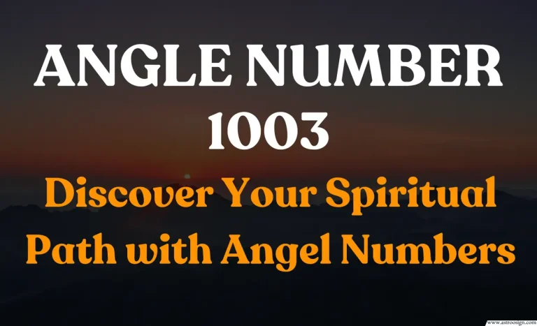 1003 Angel Number