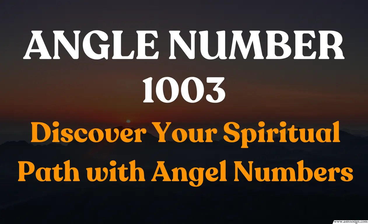 1003 Angel Number