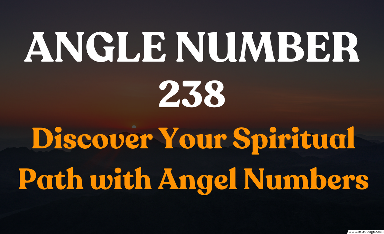 Angel Number 238